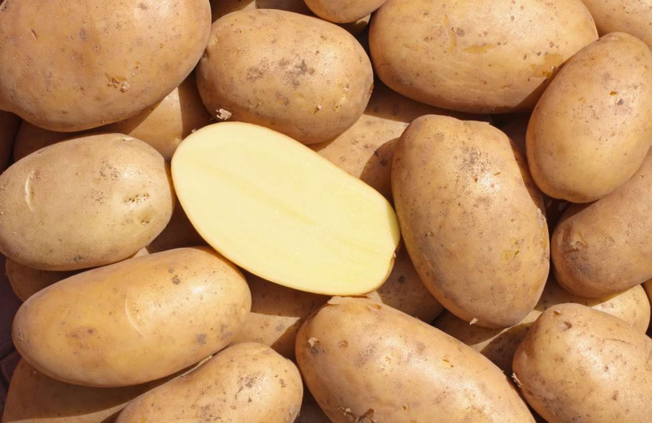 Agroalimentaire
