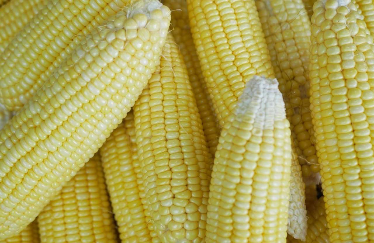Agroalimentaire